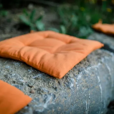 Tiny House - Birne Lejlighed