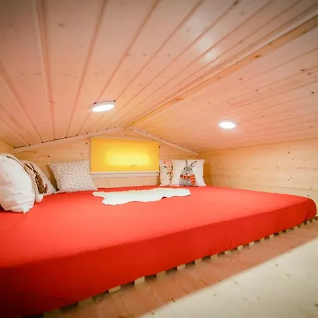 Tiny House - Birne Lejlighed Wald (Baden-Wurttemberg)